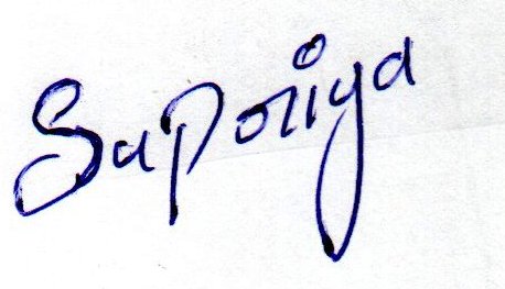 Signature preview