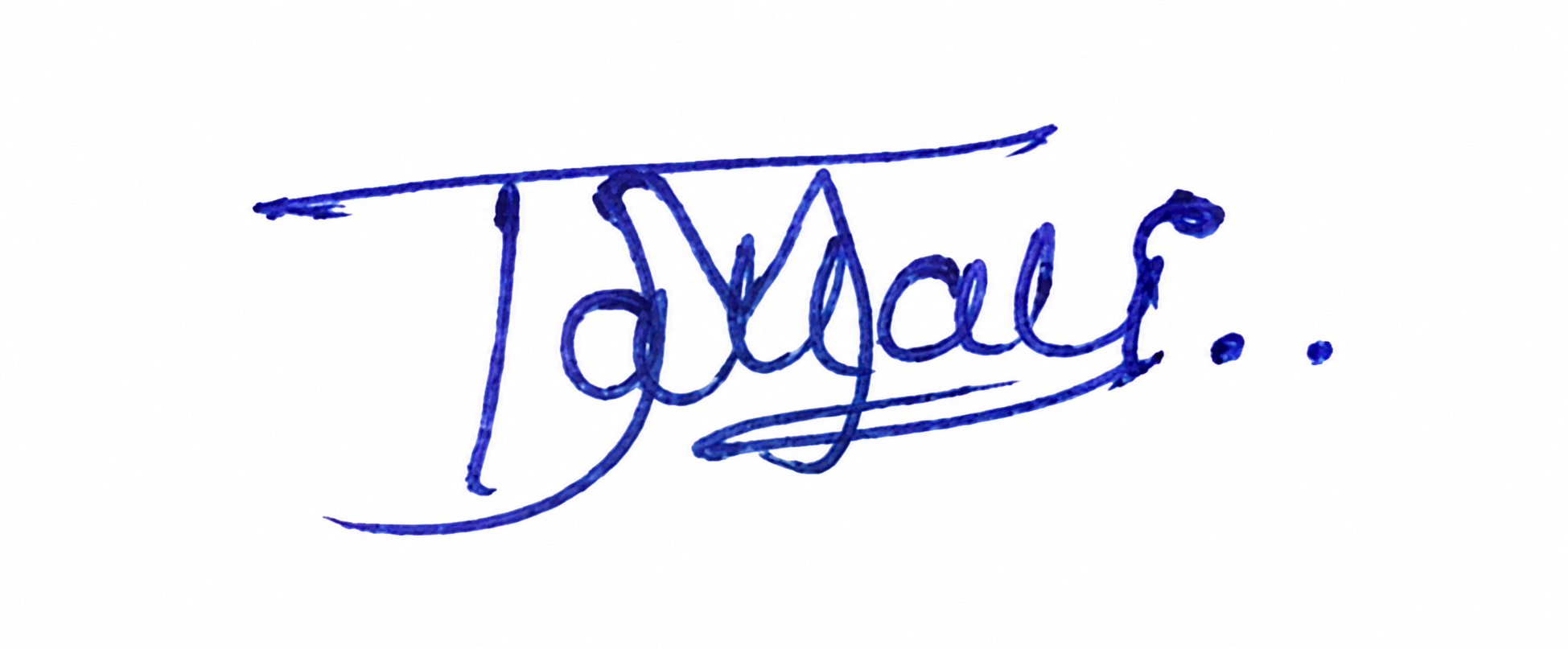 Signature preview