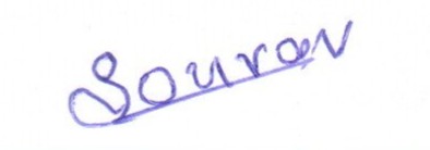 Signature preview