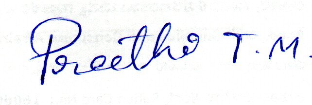 Signature preview