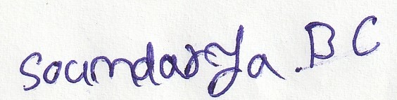 Signature preview