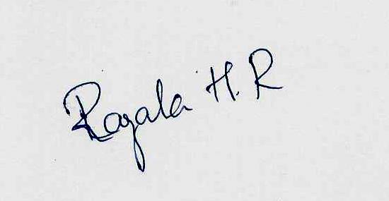 Signature preview