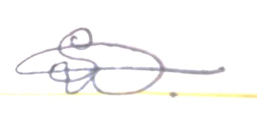 Signature preview