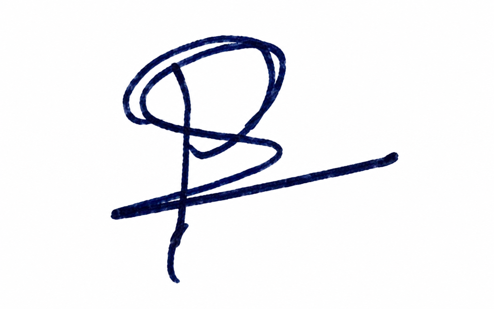 Signature preview