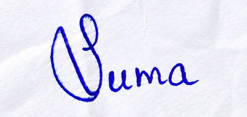 Signature preview