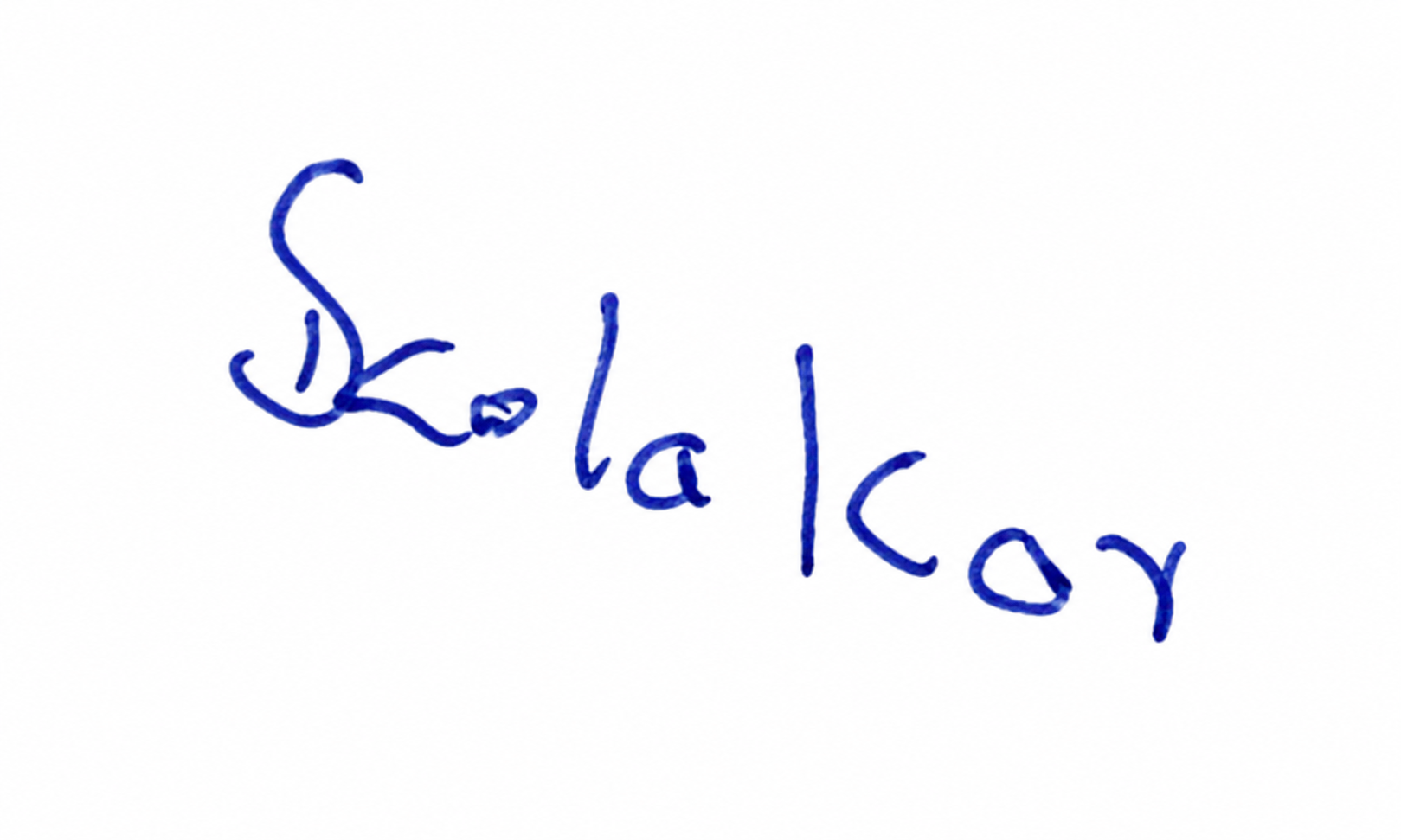 Signature preview