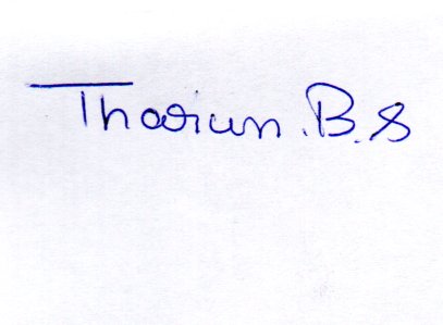 Signature preview