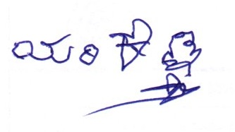 Signature preview
