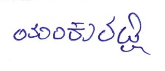 Signature preview