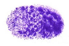 Signature preview