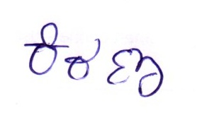 Signature preview