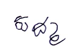Signature preview