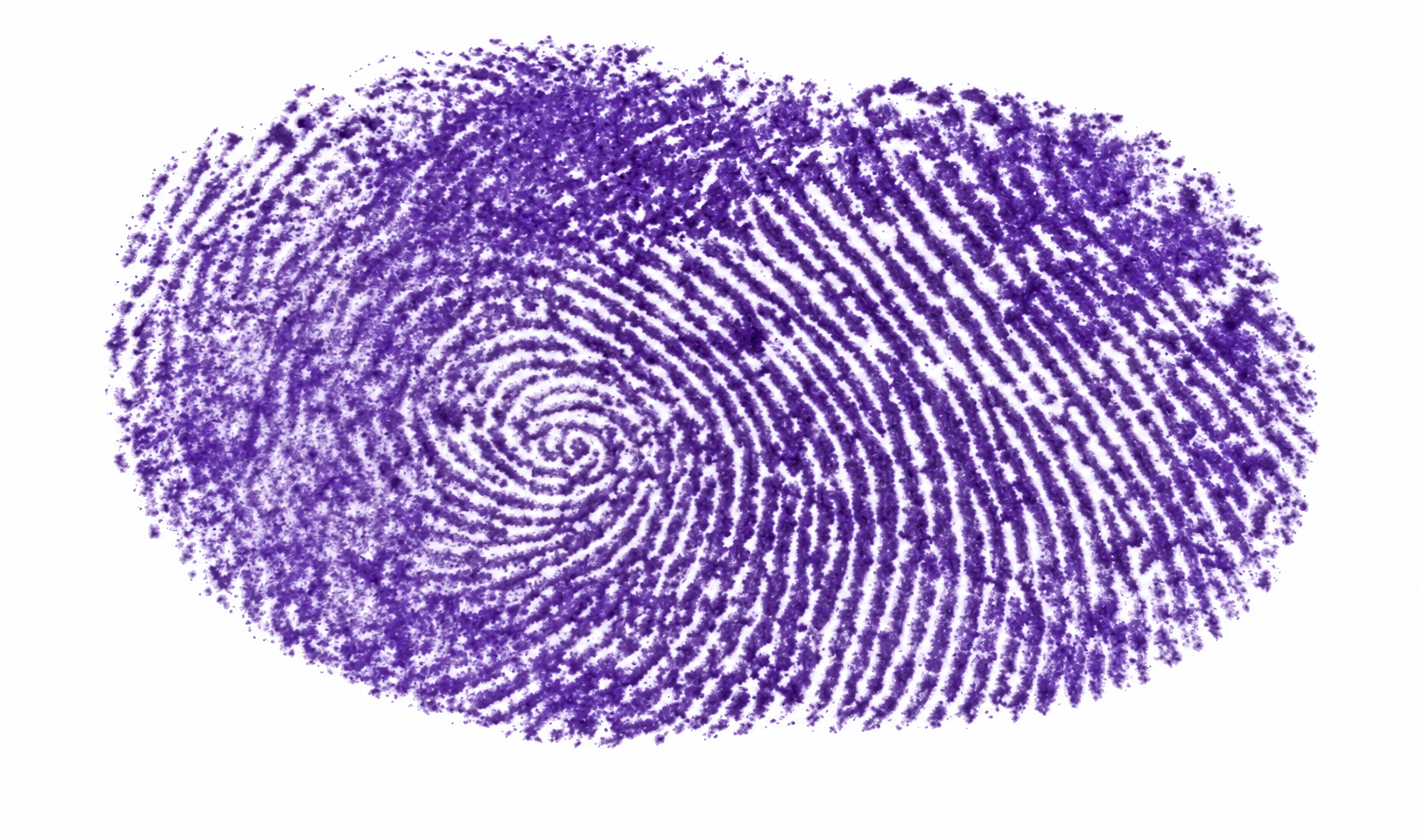 Signature preview