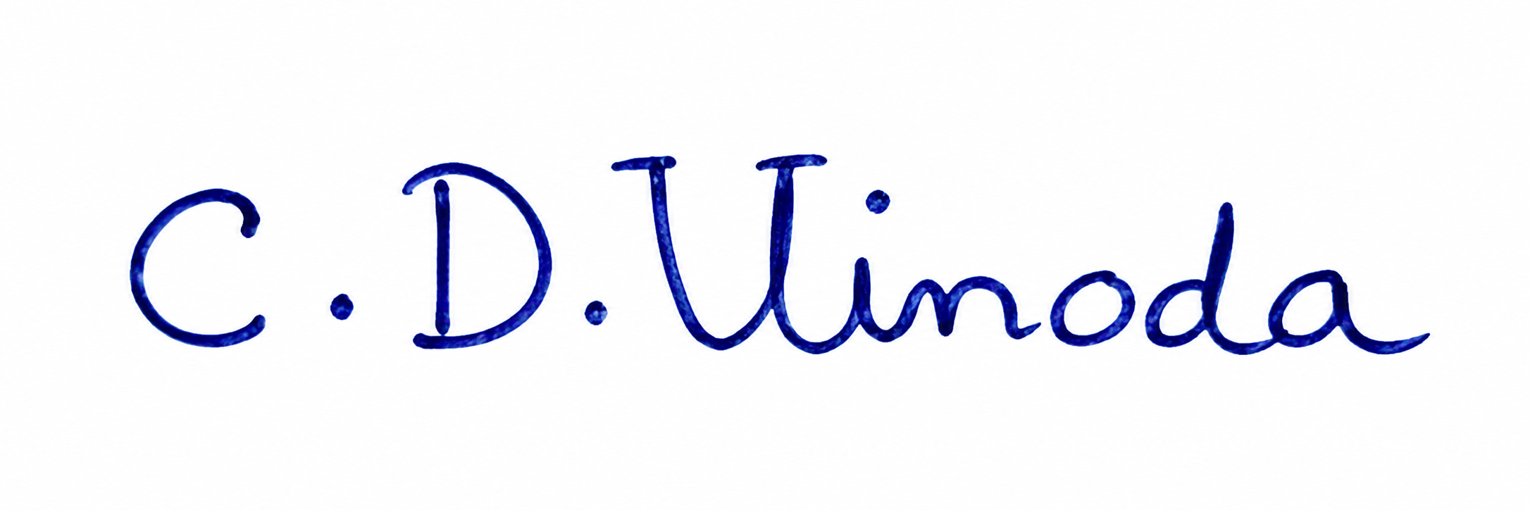 Signature preview
