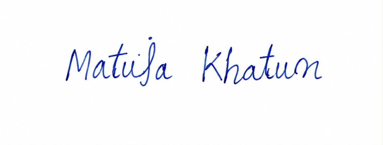 Signature preview