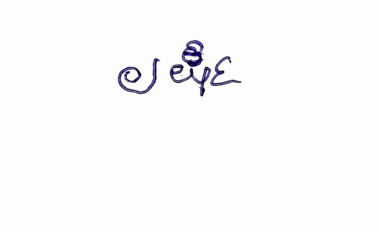 Signature preview