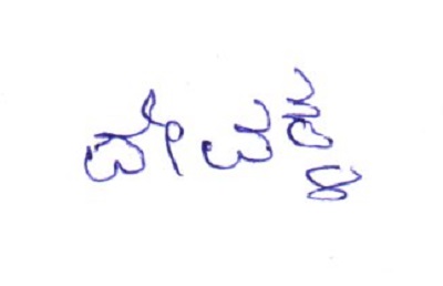 Signature preview
