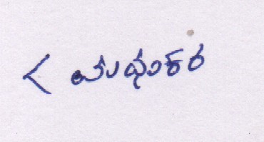 Signature preview