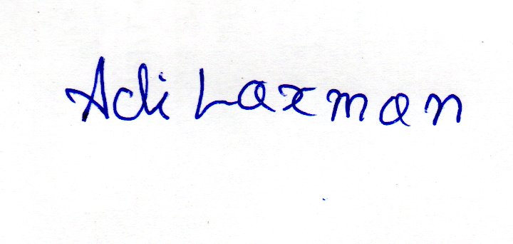 Signature preview