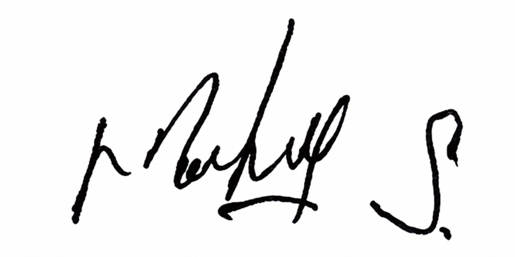 Signature preview