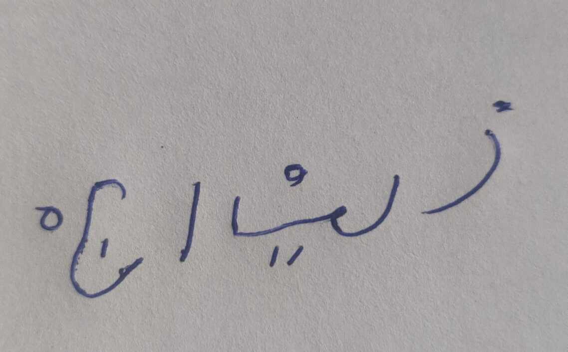 Signature preview