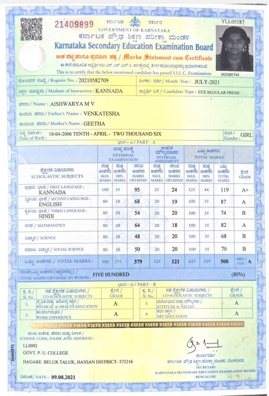 Matriculation certificate or mark sheet of recognised board (In Copy) preview