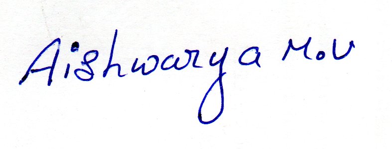 Signature preview