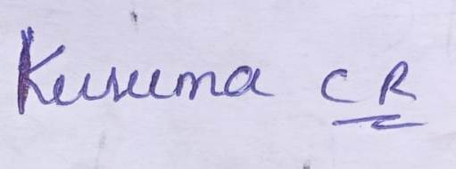 Signature preview