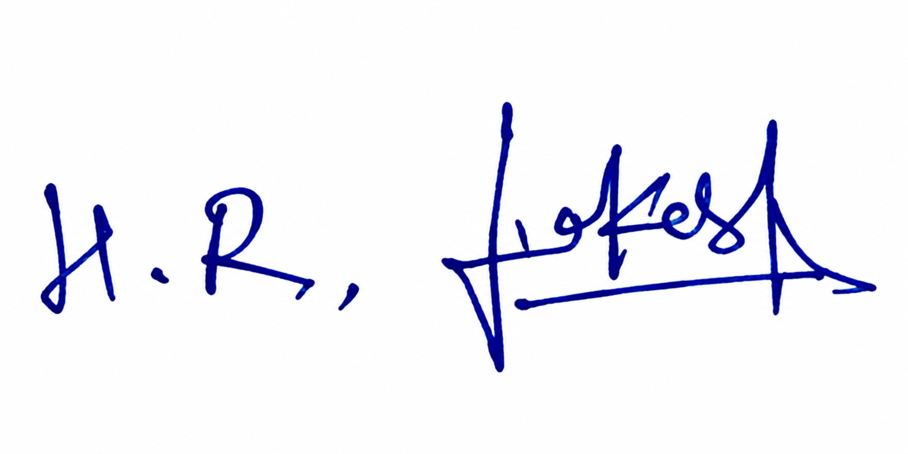 Signature preview