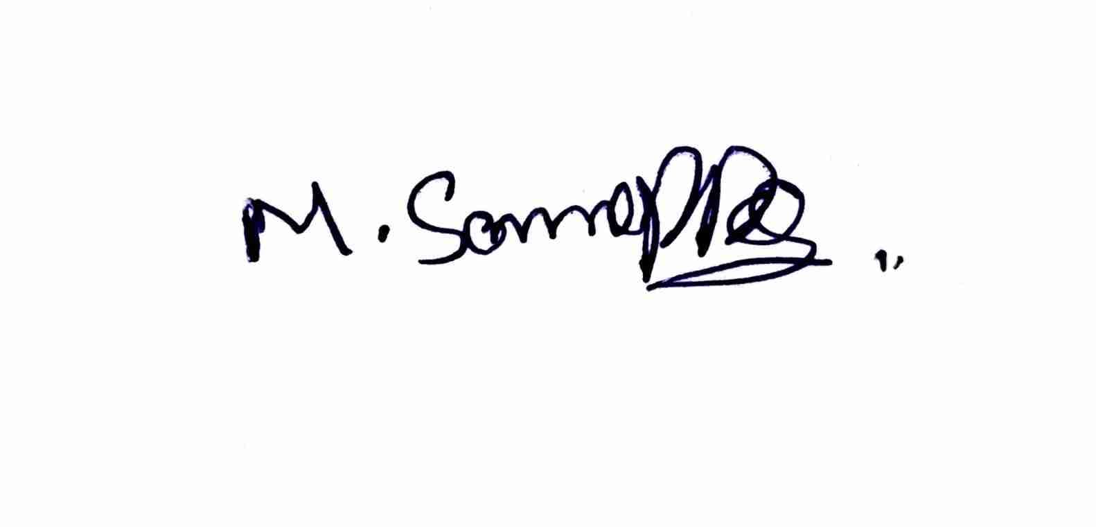 Signature preview