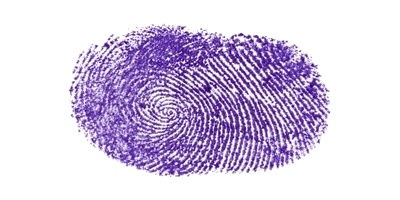 Signature preview
