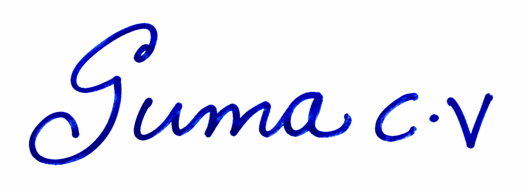 Signature preview
