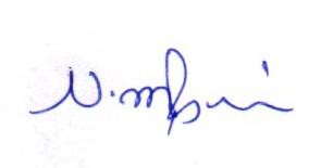 Signature preview