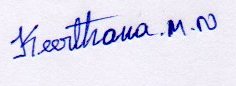 Signature preview