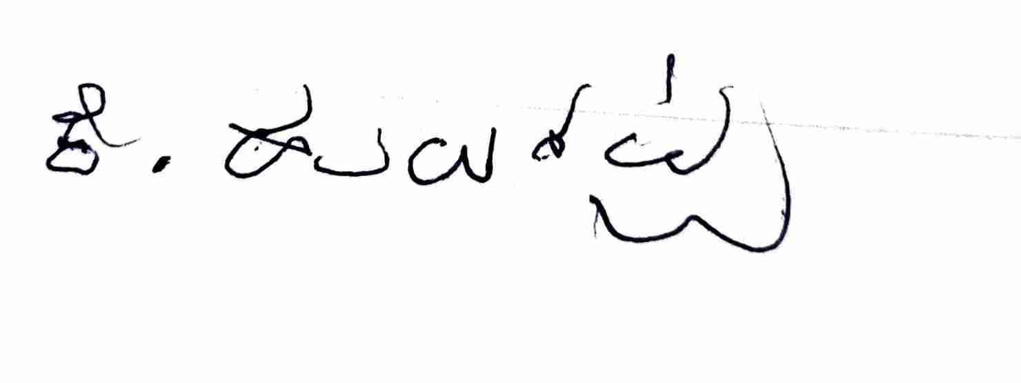 Signature preview