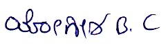 Signature preview
