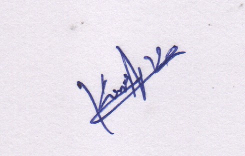 Signature preview