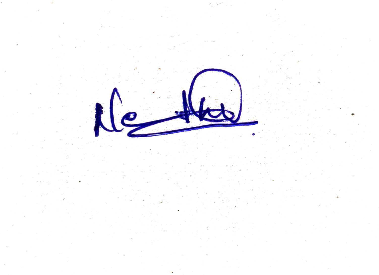 Signature preview