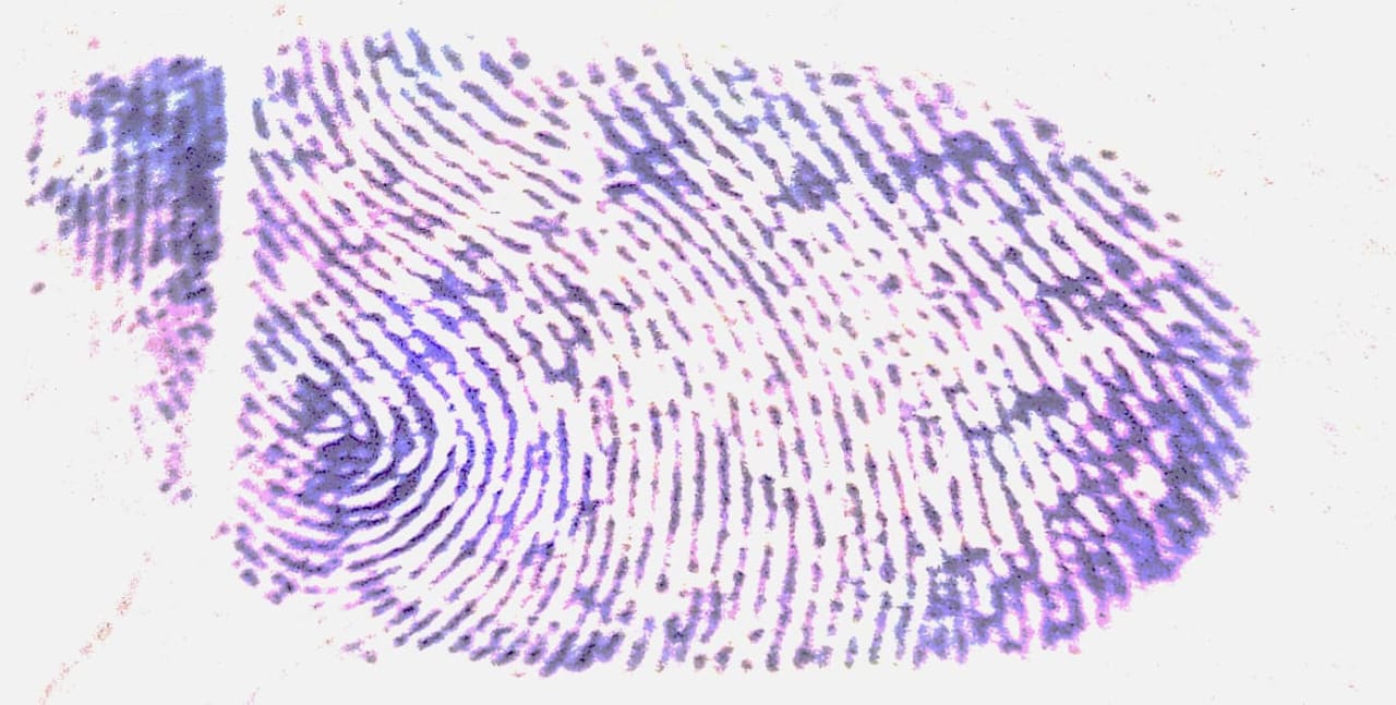 Signature preview
