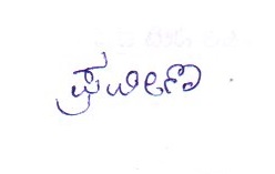 Signature preview