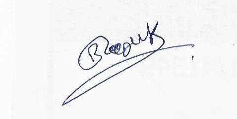 Signature preview