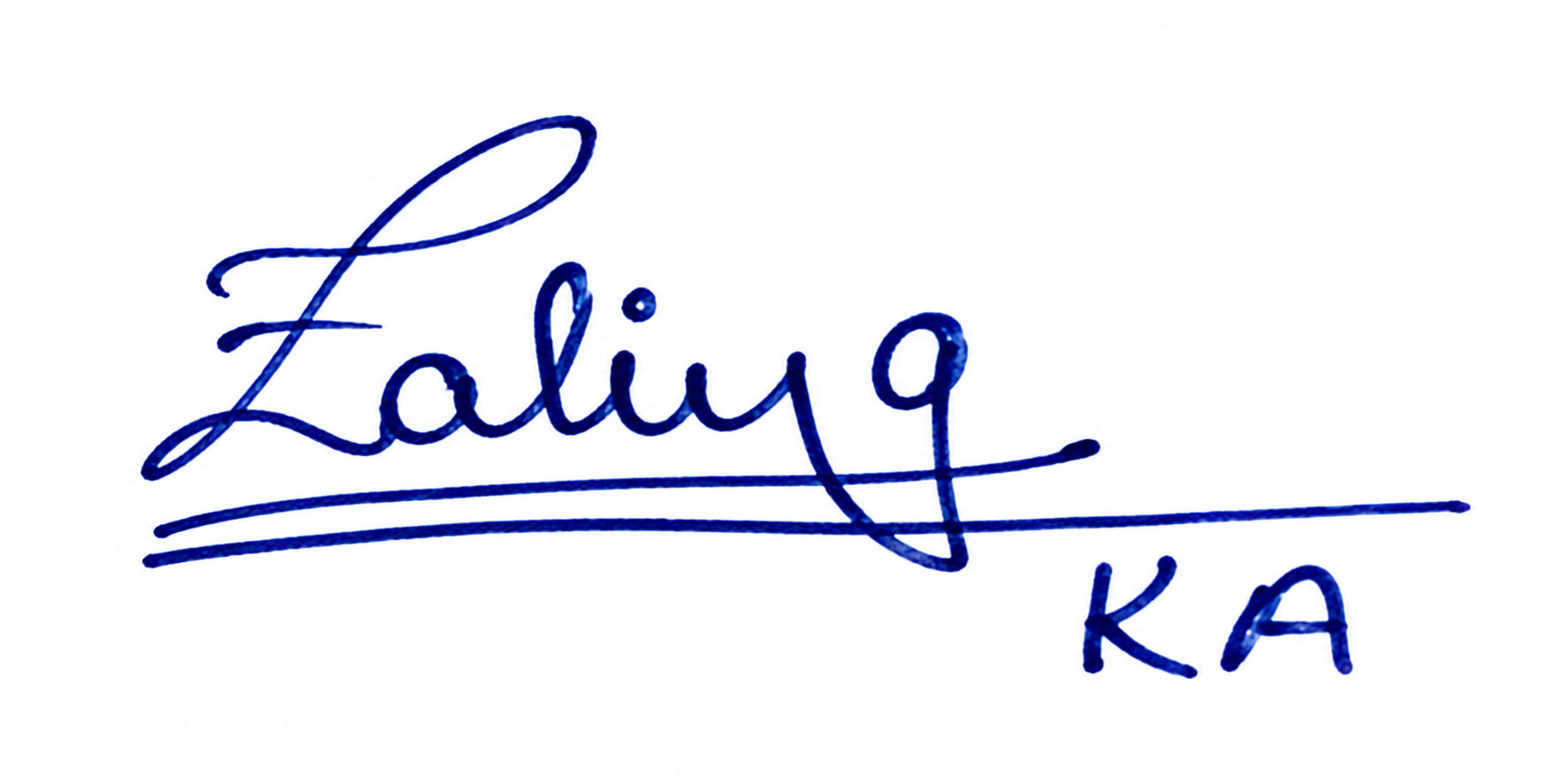 Signature preview