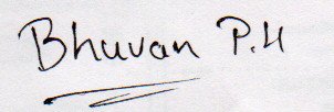 Signature preview