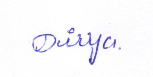 Signature preview