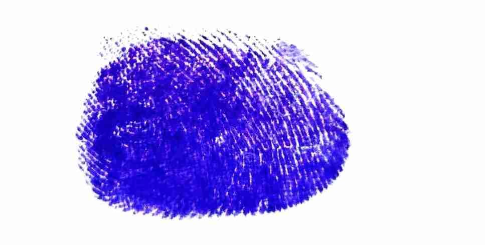 Signature preview