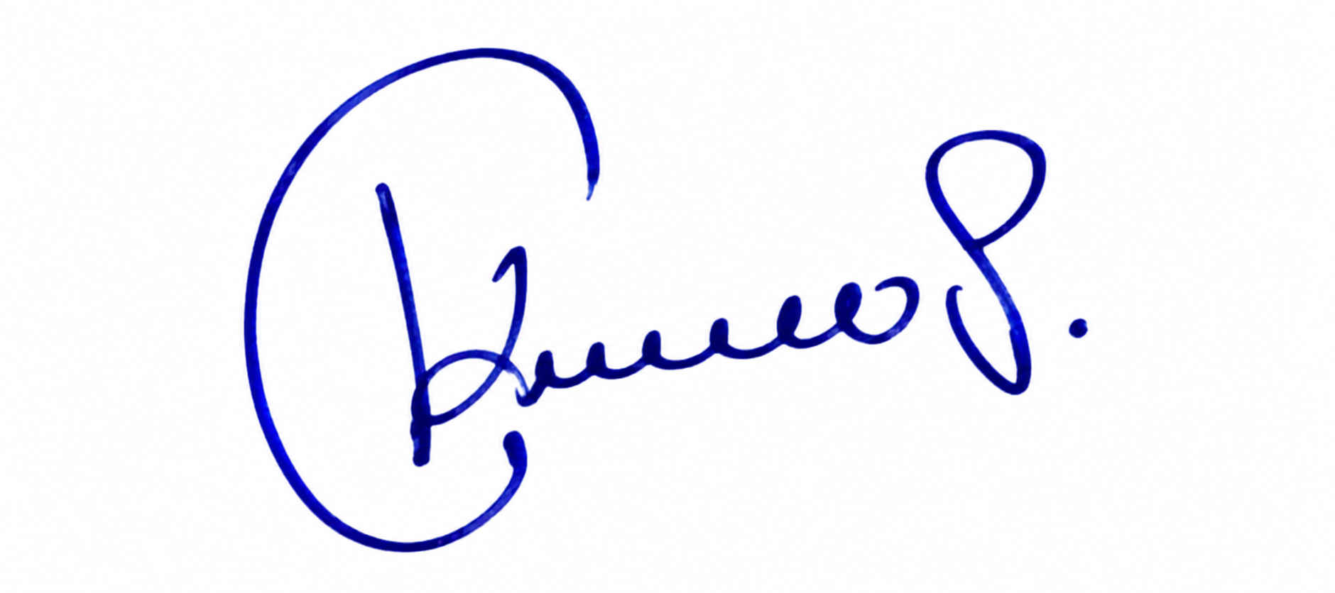 Signature preview