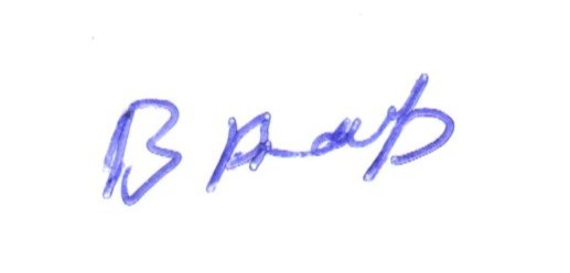 Signature preview