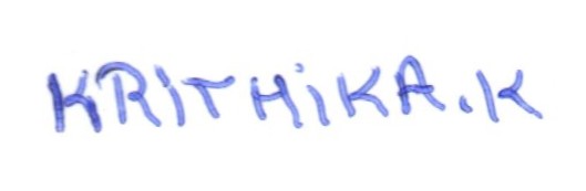 Signature preview