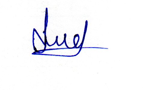 Signature preview