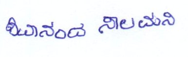 Signature preview